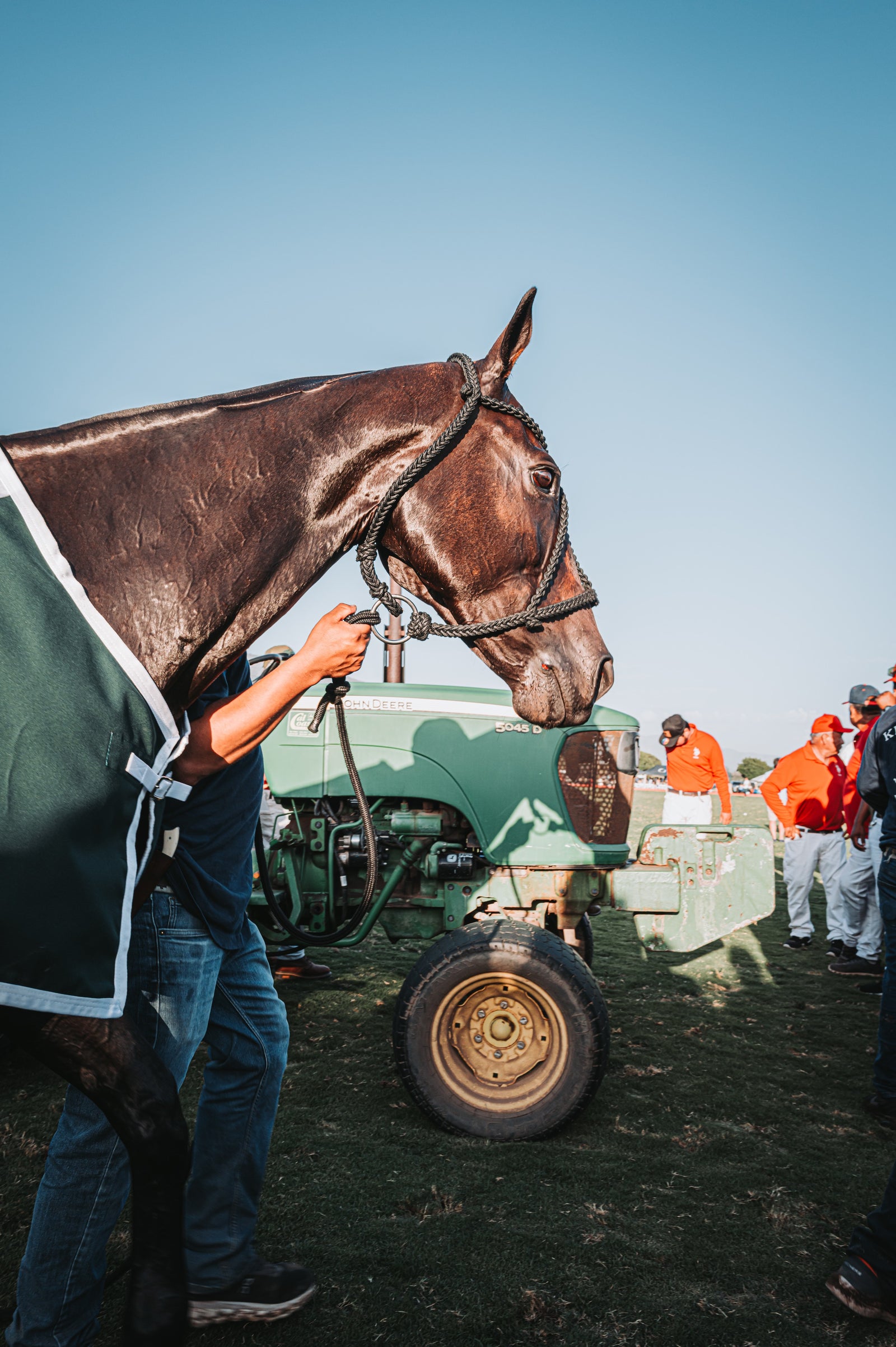U.S. Polo Assn. — Grand Final