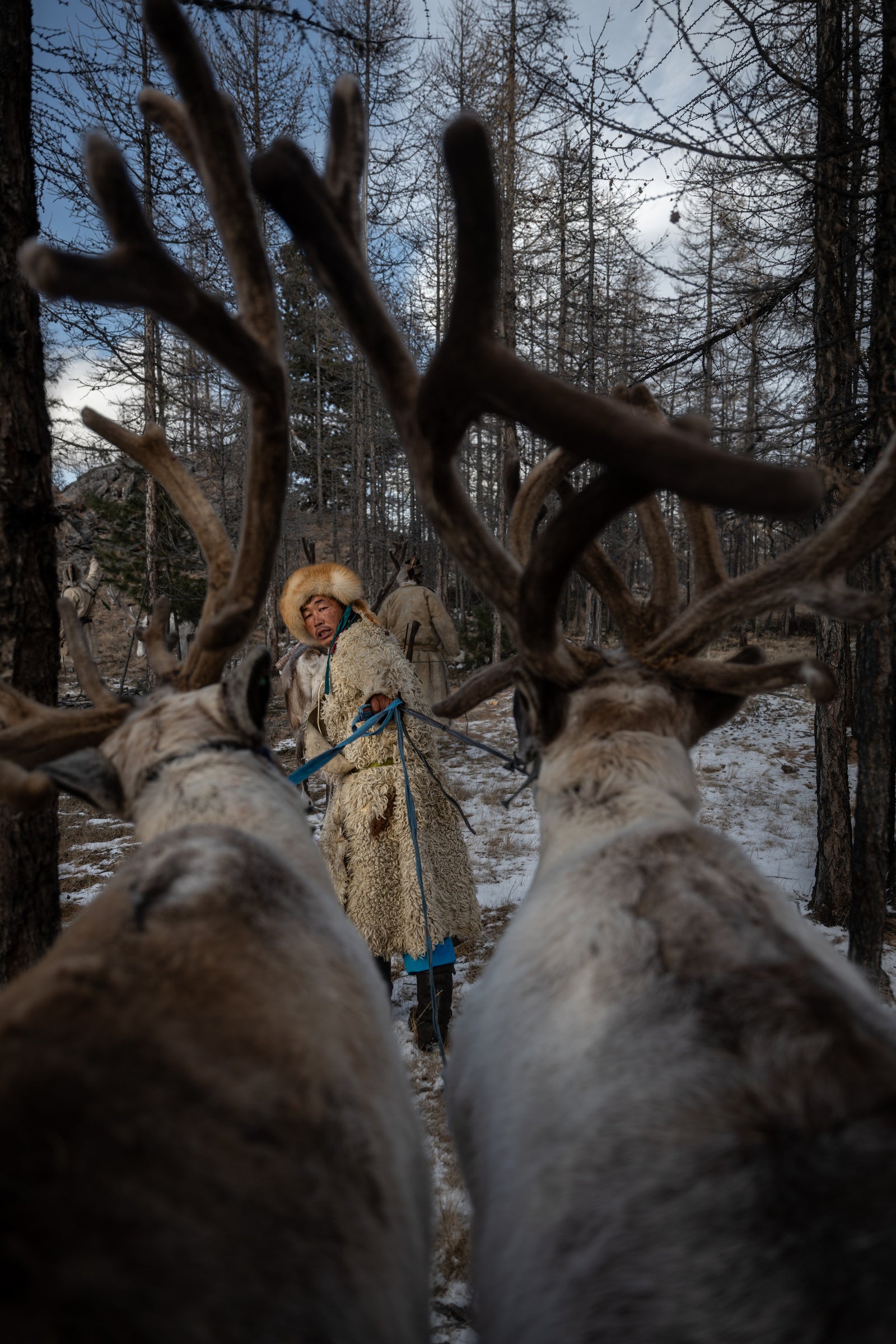 Taiga Nomads