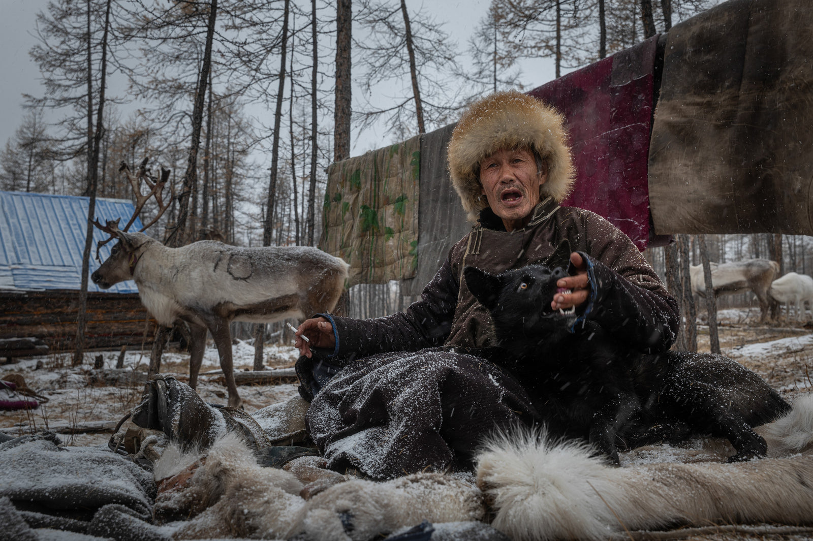 Taiga Nomads
