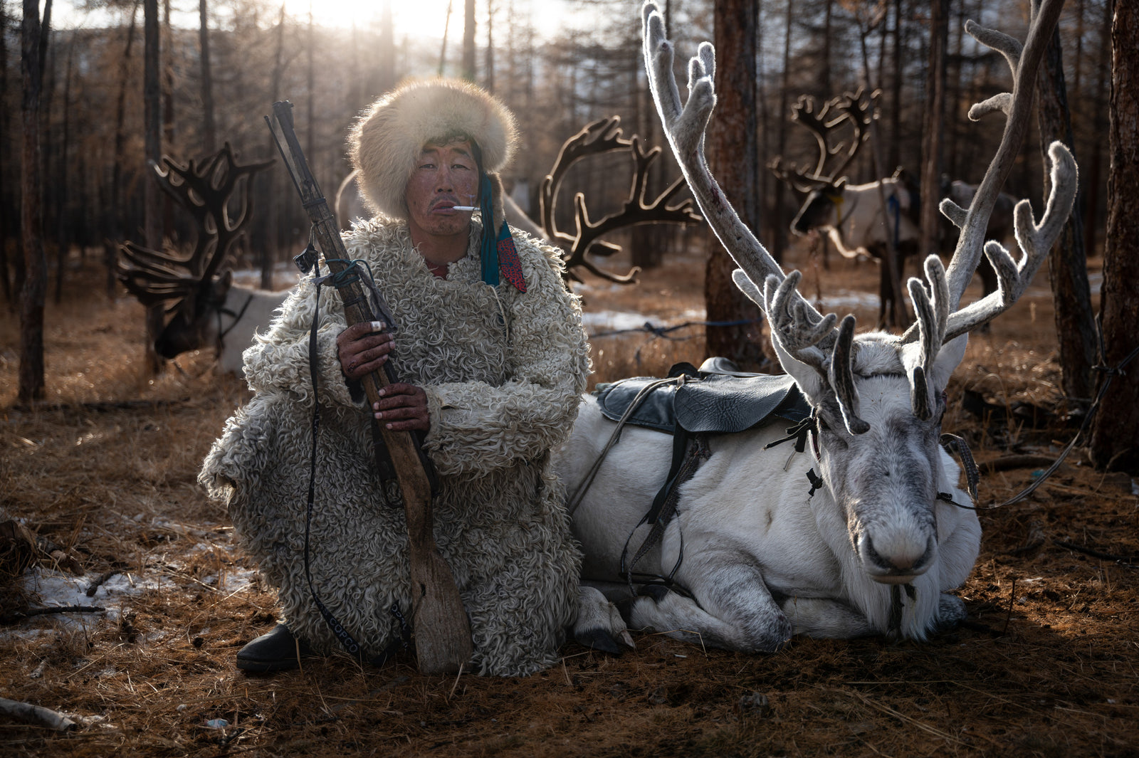 Taiga Nomads