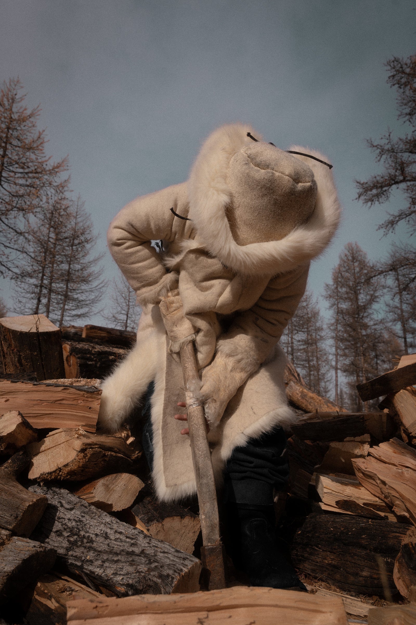 Taiga Nomads