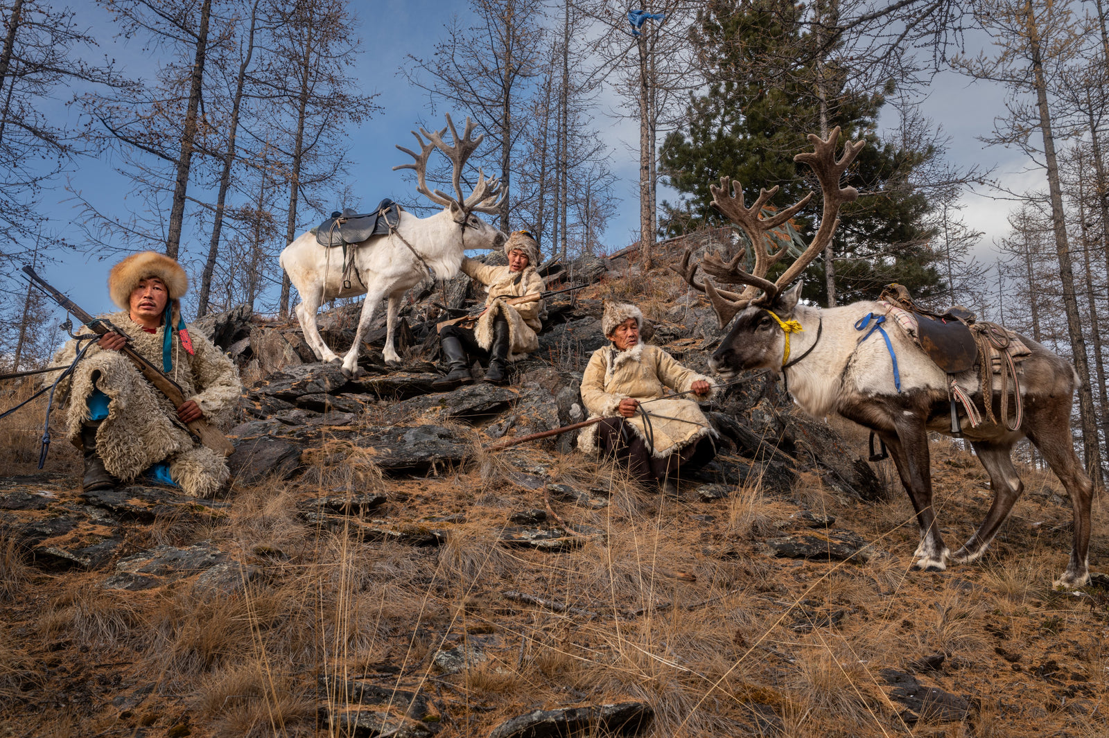 Taiga Nomads